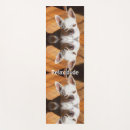 Search for photo yoga mats Pets