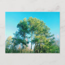 Search for isoler postcards Landscape