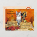 Search for thanksgiving cat postcards Kitten