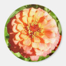 Recherche de zinnia magnets Rouge