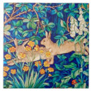 Recherche de lapin sauvage carreaux Forêt