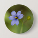 Recherche de herbes badges Fleur sauvage