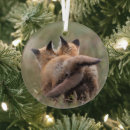Search for red fox ornaments Nature