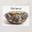 Search for struggles postcards Encouragement