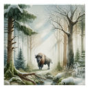 Recherche de animaux de forêt posters Magique