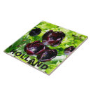 Recherche de hollande carreaux Amsterdam