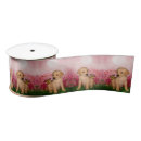 Recherche de dog ribbon Rose