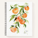 Search for fruit notebooks Peaches
