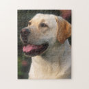Recherche de labrador retriever puzzles Mignon