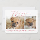 Recherche de fleas cards Vacances