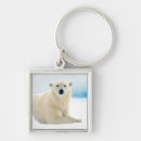 Search for adult keychains Arctic
