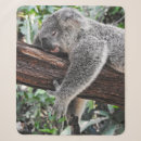 Search for koala bear blankets Tree