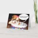 Search for shih tzu birthday cards Puppies