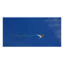 Search for kite posters Colourful