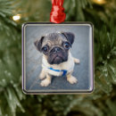 Search for pug holiday ornaments Animal