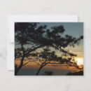 Recherche de california vœux cartes San diego