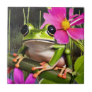Recherche de grenouilles carreaux Crapaud