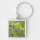 Search for glacier bay keychains Jaynes gallery