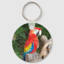 Search for red parrot keychains Birds
