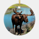 Search for moose ornaments Wildlife