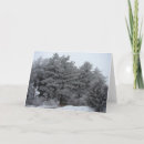 Search for winter frost cards Pine
