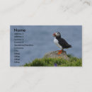 Recherche de oiseaux sauvages cartes visite Pour tous
