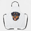 Recherche de chien rottweiler tabliers Weimaraner