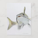 Search for looking front postcards Full length