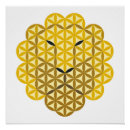 Search for lion posters Cat