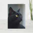 Search for kitty halloween cards Black cat