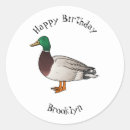 Search for mallard duck stickers Bird