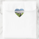 Search for mountain sheep stickers Animals