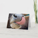 Search for cow valentines day cards Farm