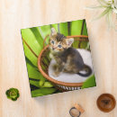 Search for basket binders Pet