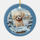 Search for poodle ornaments Puppy