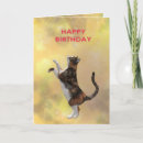 Search for calico cat birthday cards Kitty