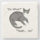 Search for funny cat dog coasters Cats