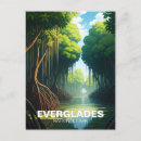 Search for everglades postcards Mangrove