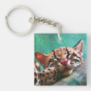 Search for sleeping kitten keychains Cute