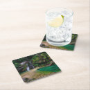 Recherche de cascades bar Travel