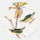 Search for warbler stickers Birds