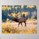 Recherche de rocky mountain national park posters Colorado