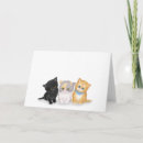 Search for british shorthair cards Cute