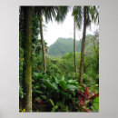 Recherche de forêts tropicales posters Arbres
