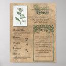 Recherche de herbals posters Botanique
