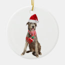 Search for irish wolfhound ornaments Santa