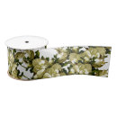 Search for magnolia ribbon Vintage