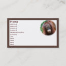 Recherche de animal zoo cartes visite Singe