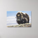 Recherche de arctique art Toundra