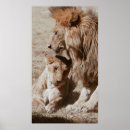 Search for lion brown posters Wildlife